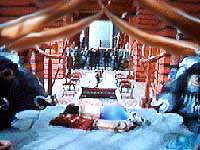 The quarantine area
